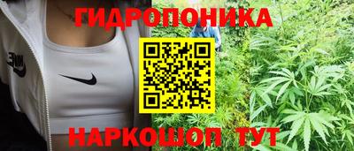 бошки Будённовск