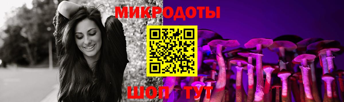 Галлюциногенные грибы Psilocybe Усолье-Сибирское